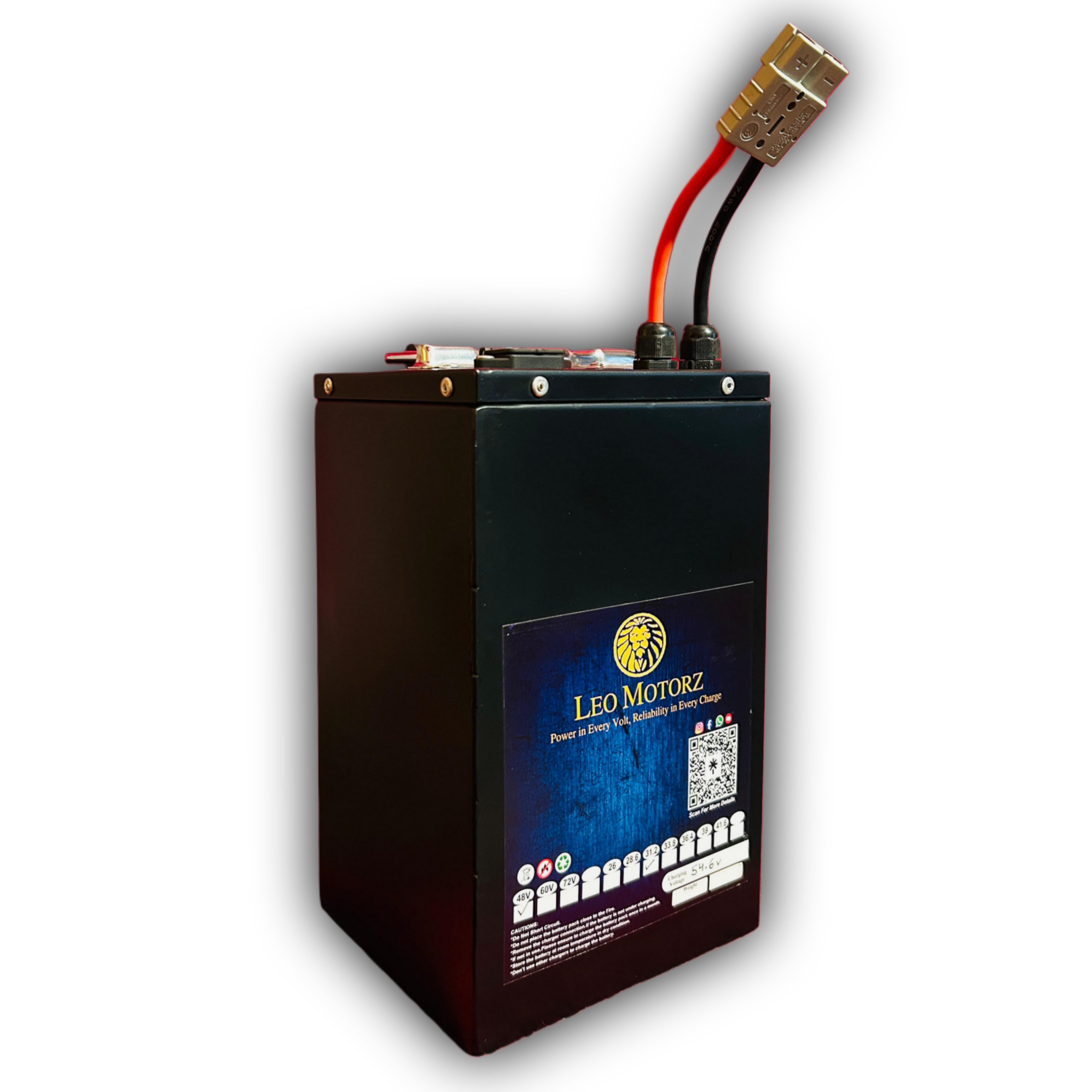 48v 31.2ah Smart Lithium Battery with bluetooth connectivity